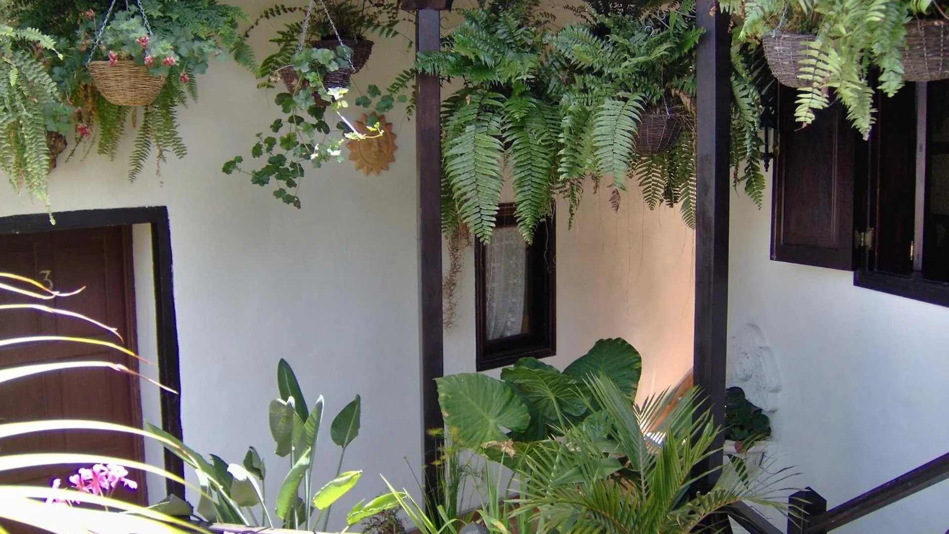 Holiday Home To The Street With Big Kitchen Icod De Los Vinos Apartment