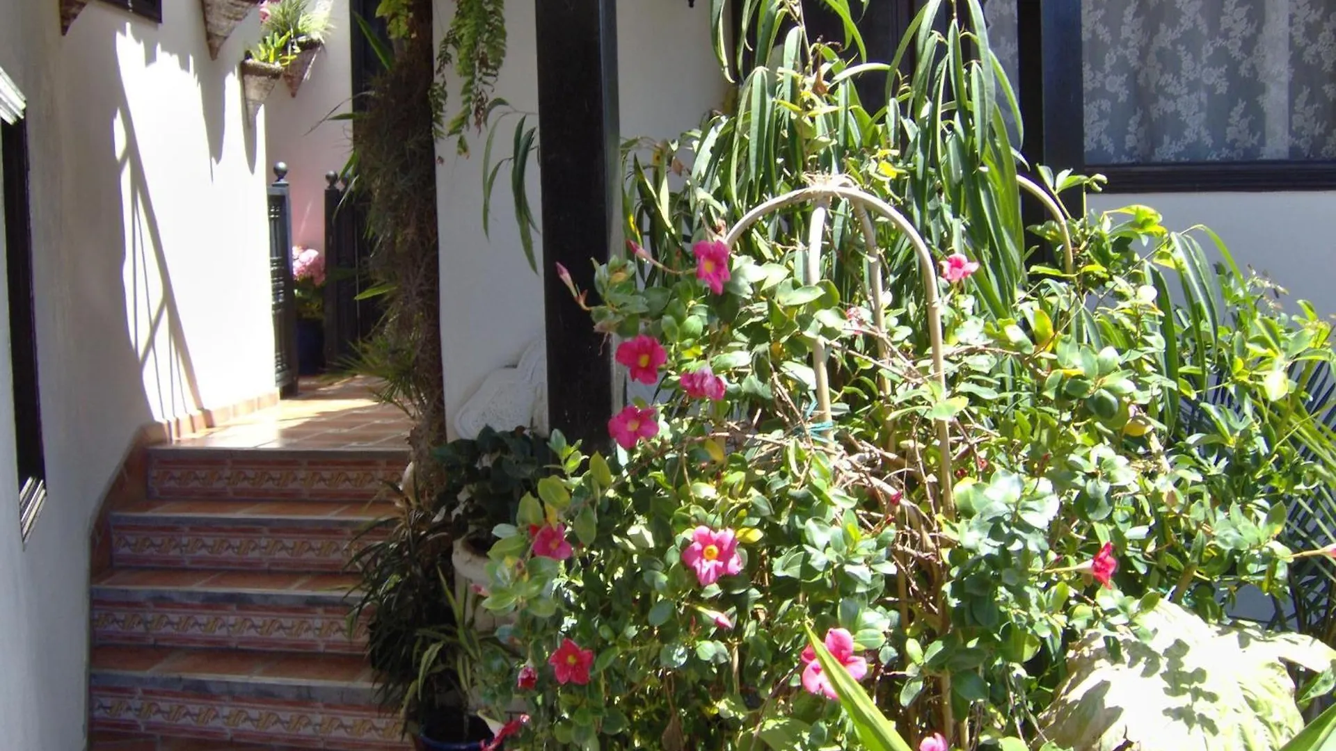 Holiday Home To The Street With Big Kitchen Icod De Los Vinos 0*,  Spain